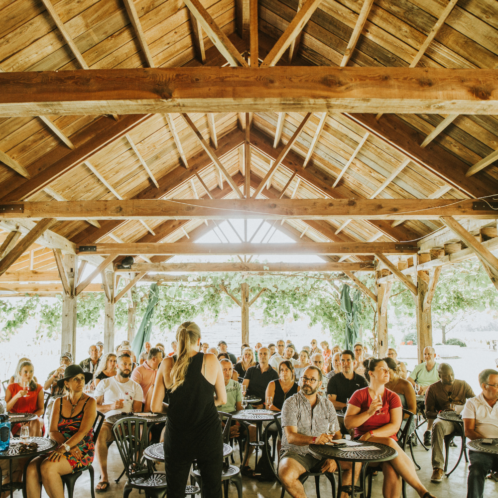 Dégustation de vins et plateau de bouchées pour 2 personnes - Domaine du Ridge