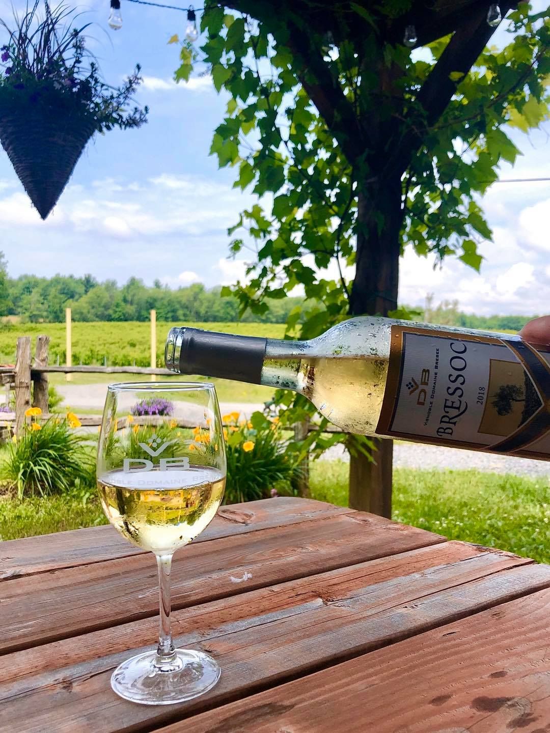 Dégustation de vins et cadeaux pour 2 personnes - Vignoble Domaine Bresee