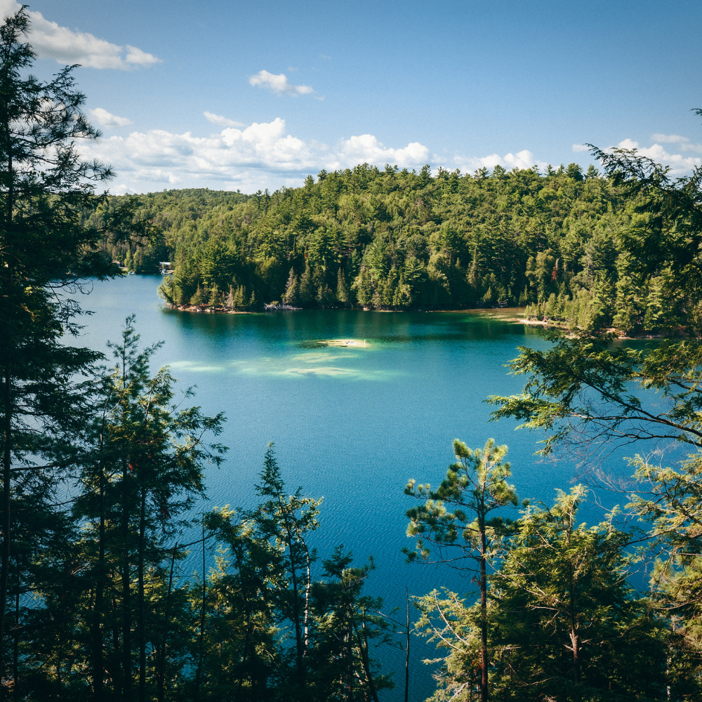 Excursion on Lake Edja for 4 people - CarpeDiem Aventures