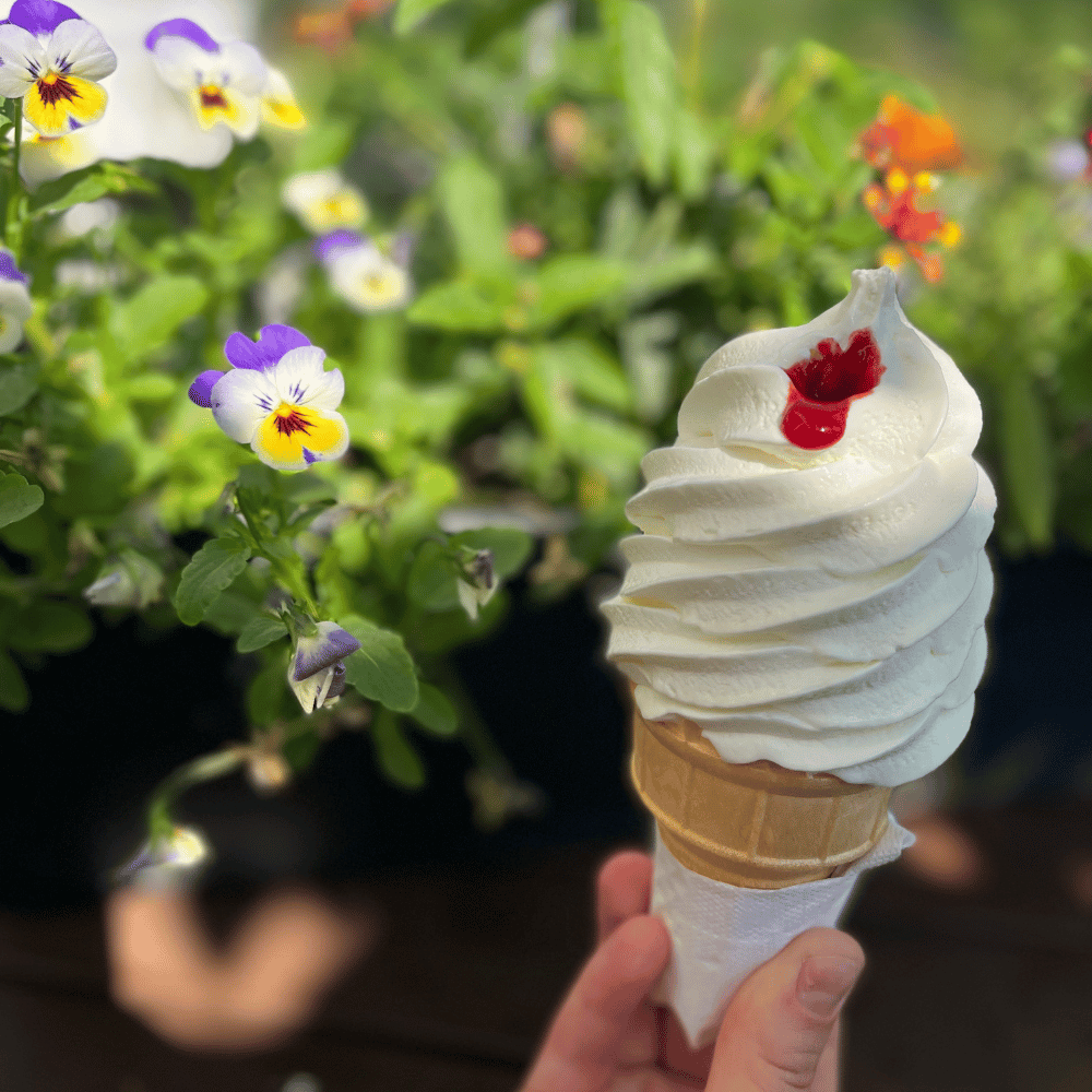 Ice cream and beverage for 2 people - Nestor Picore Gourmandises
