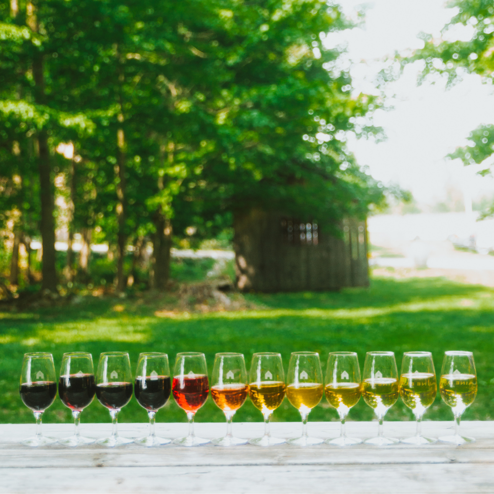 Dégustation de vins pour 2 personnes - Domaine du Ridge