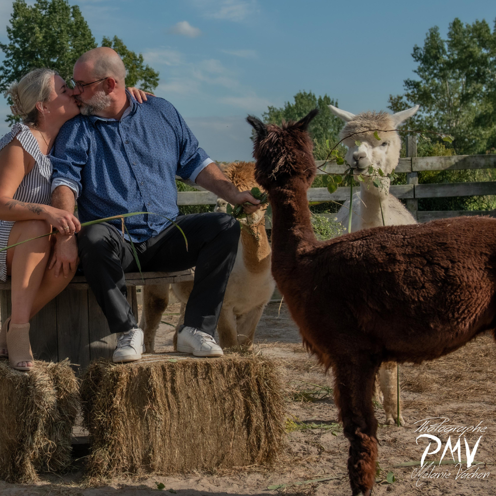 Un moment de qualité et de connexion animale pour 2 personne - La Casa d'alpagas
