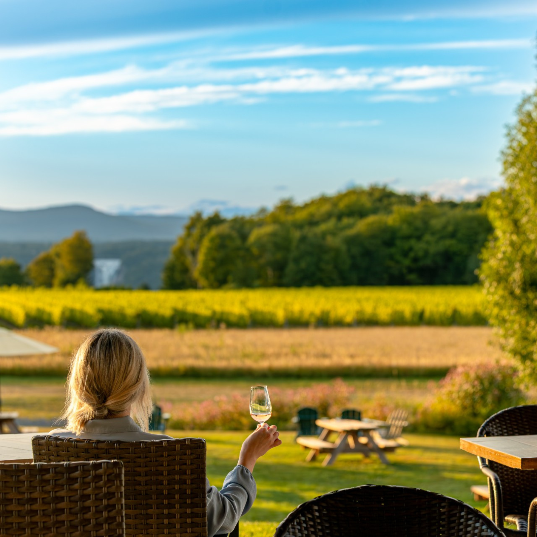 Dégustation Locale pour 2 personnes - Saint-Pierre Le Vignoble