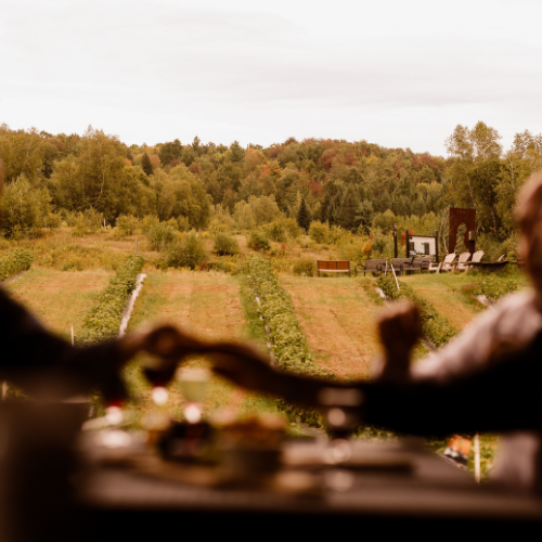 Package Aperitif and blackcurrant for 2 to 4 people - Domaine Ives Hill available in Dining - Coffrets Prestige - 1