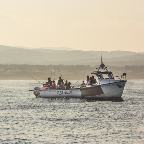 Forfait Croisière/Pêche en mer pour 2 personne - Auberge Griffon Aventure disponible dans la catégorie Activity - Coffrets Prestige - 1