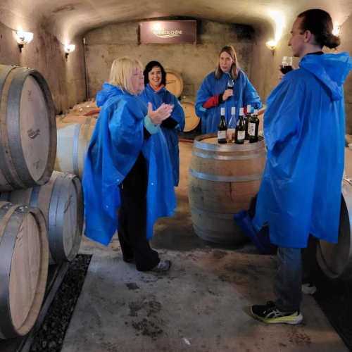 Forfait Tour à pied privé pour 2 personnes - Agrotours Hirond'Elles disponible dans la catégorie Activité - Coffrets Prestige - 1