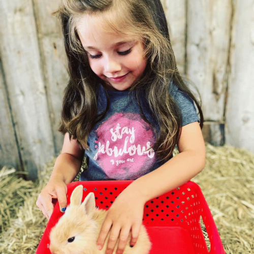 Package Family day with animals for 4 people - Ranch Dupont available in Activity - Coffrets Prestige - 1
