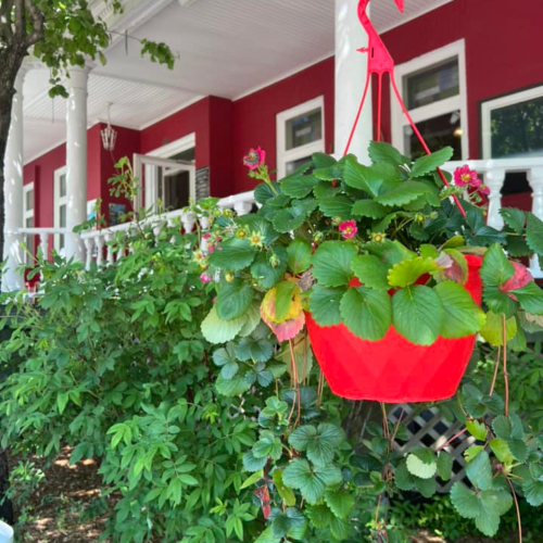 Forfait Cocktail et accès au spa pour 1 personne - Auberge La Grande Maison disponible dans la catégorie Wellness - Coffrets Prestige - 1