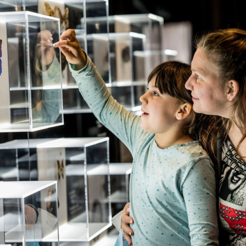 Forfait Entrée familiale pour 4 personnes - Musée de la Nature et des Sciences de Sherbrooke disponible dans la catégorie Activity - Coffrets Prestige - 1